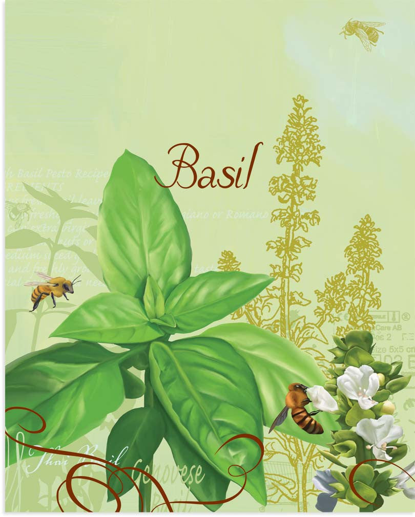 Basil