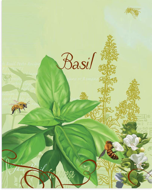 Basil